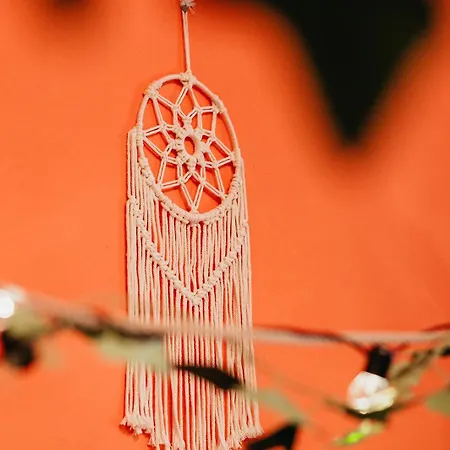 Holiday home Mit Disco, Whirlpool Und Vielem Mehr